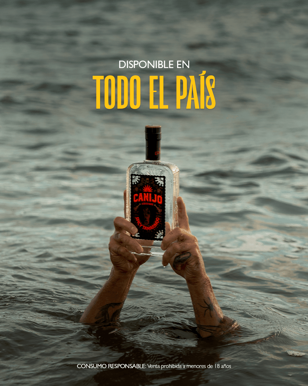 Bodegón
