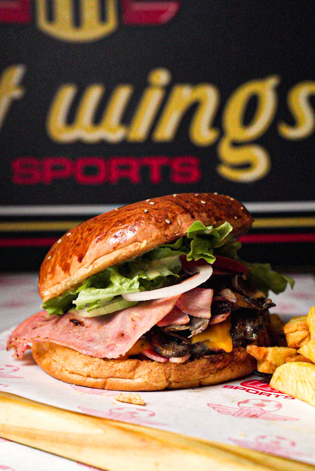 Fast Wings Sport
